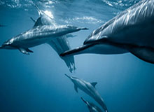 欧冠手机直播-周金辉鼓励青年军：结果出乎意料 打出了国安精神